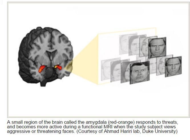 Growing up in #poverty can change your DNA and increase your risk of depression wef.ch/1UwK97H