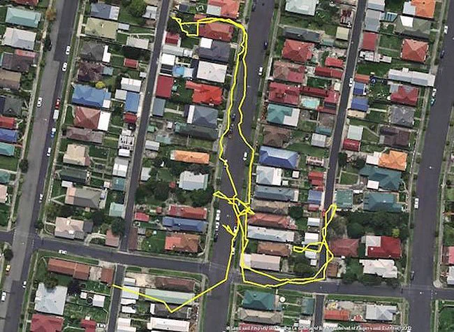 ネコがどれだけ移動するかをGPSで追跡した結果www