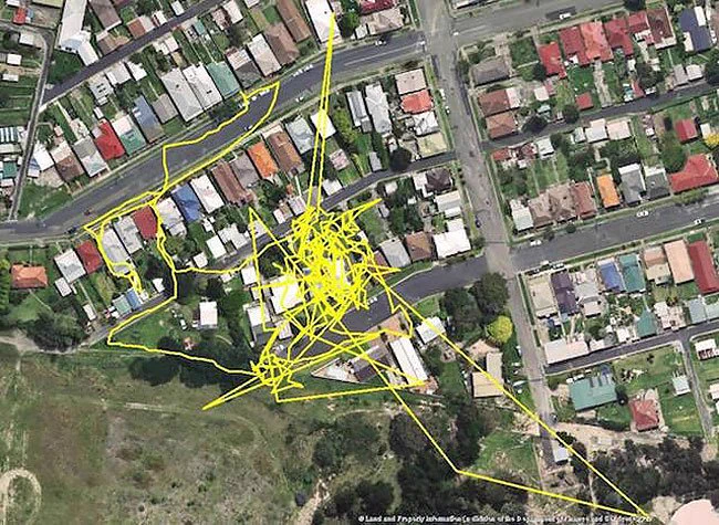 ネコがどれだけ移動するかをGPSで追跡した結果www