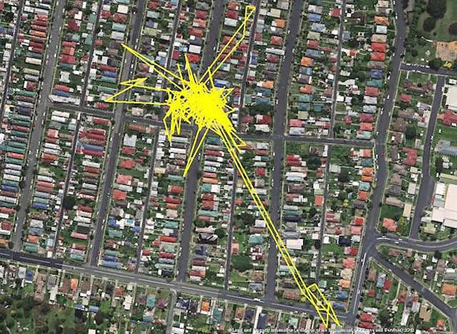 ネコがどれだけ移動するかをGPSで追跡した結果www