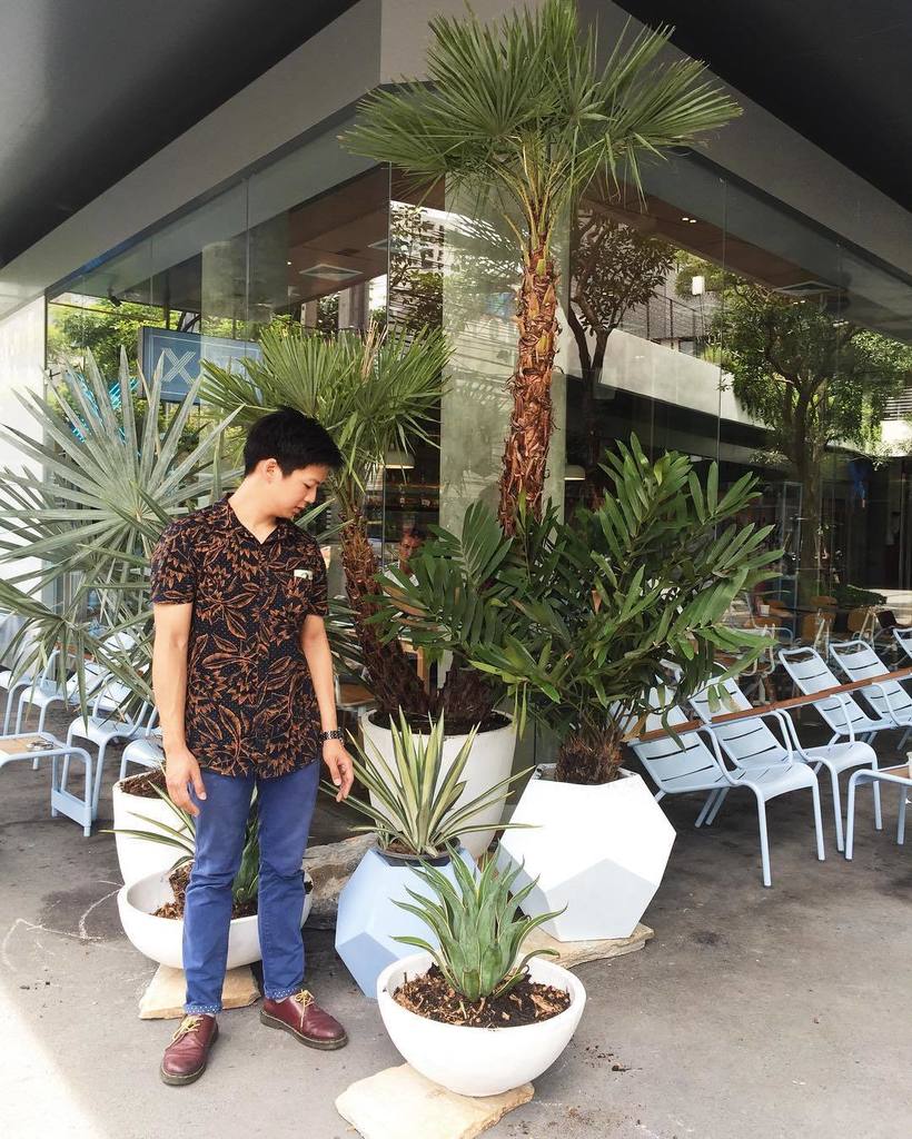 plant_house's tweet photo. In process of turning Rocket X into an urban jungle🌴 @RocketCoffeeBar https://t.co/Nv9C1M59sw https://t.co/68UuE7IhC4