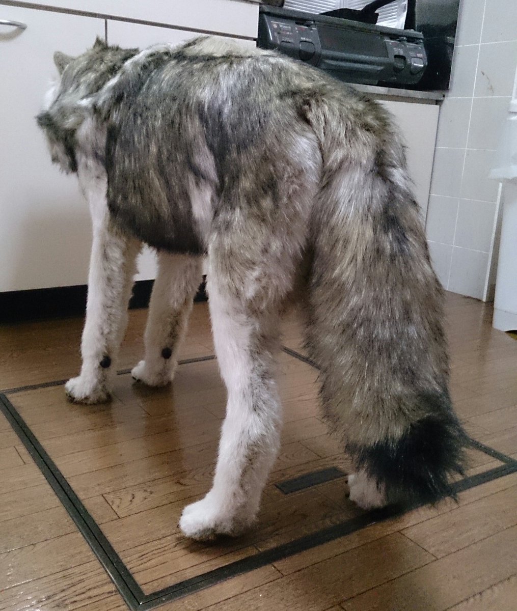 りぐれぃ Reg Lay 布で作ったリアルな狼のぬいぐるみ ２体目ついに完成 O 苦戦しつつ 何ヵ月かかっただろうか W 近々minneにて販売予定 何卒よろしくお願い致します M M 狼 オオカミ ぬいぐるみ 置物 Minne