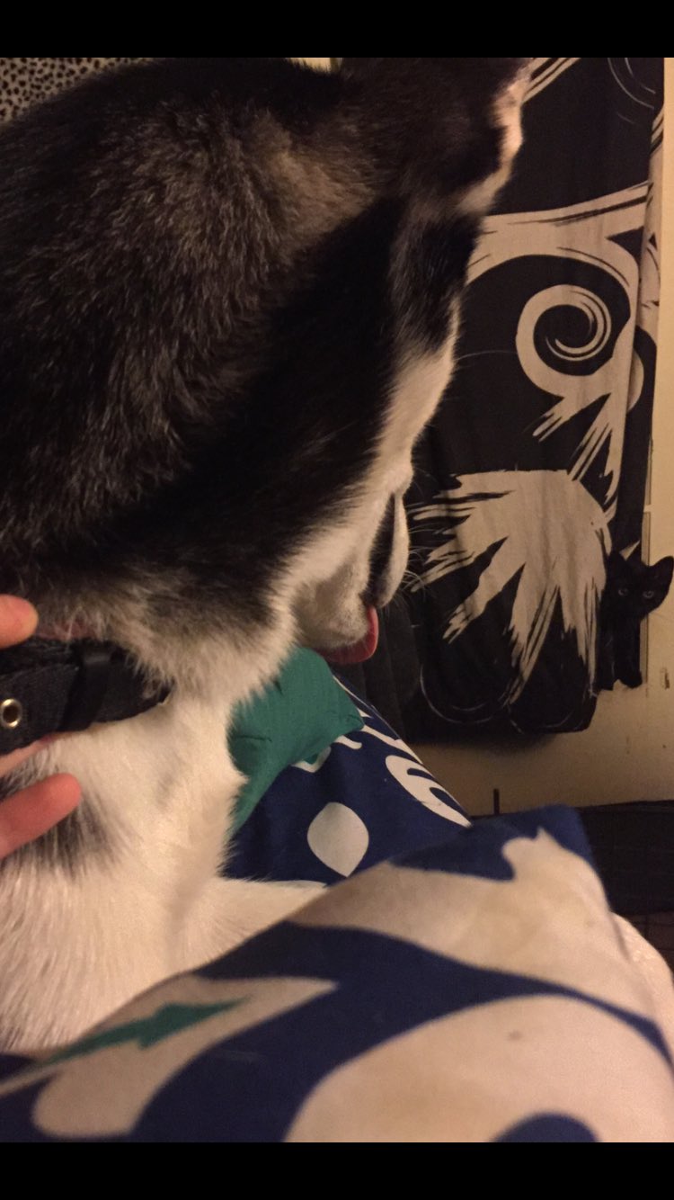 Jewel / Megan 💕 Onlyfans on Twitter: "Do you see what I see?…