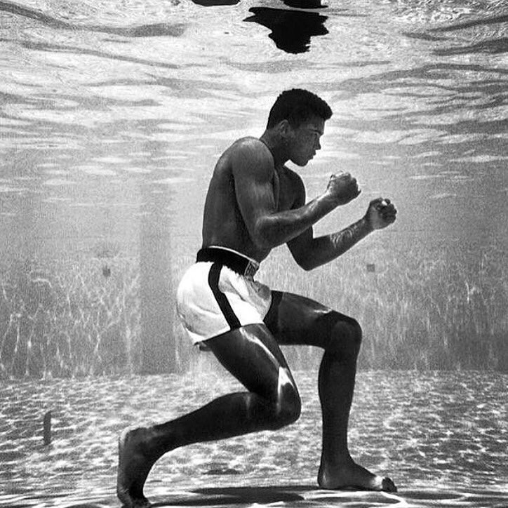 "He who is not courageous enough to take risks will accomplish nothing in life." - Muhammad Ali  #RIPMuhammadAli