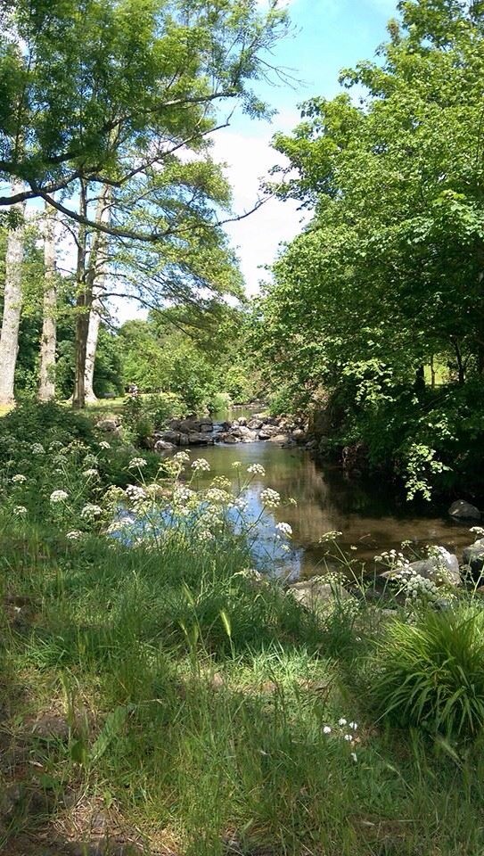 humbuggifts's tweet photo. We have beautiful riverside walks too in #Sidmouth @GreatDevonDays #devonday #thebyes #devon https://t.co/YmYHsZJrCo