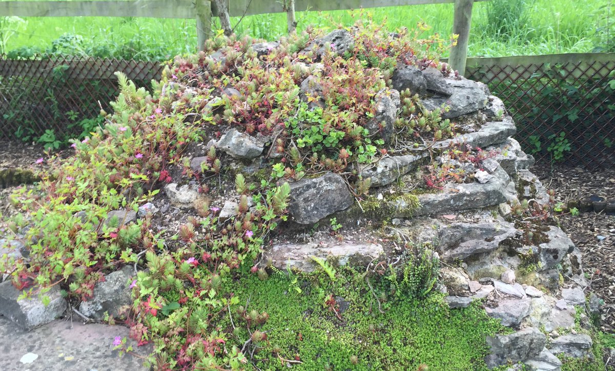BarbaraDaniels6's tweet photo. Llangybi village: 11th century church; inn owned by Henry VIII; holy well; gruesome murders! https://t.co/0Mt4VhZ2CT https://t.co/hh51o7OCr8