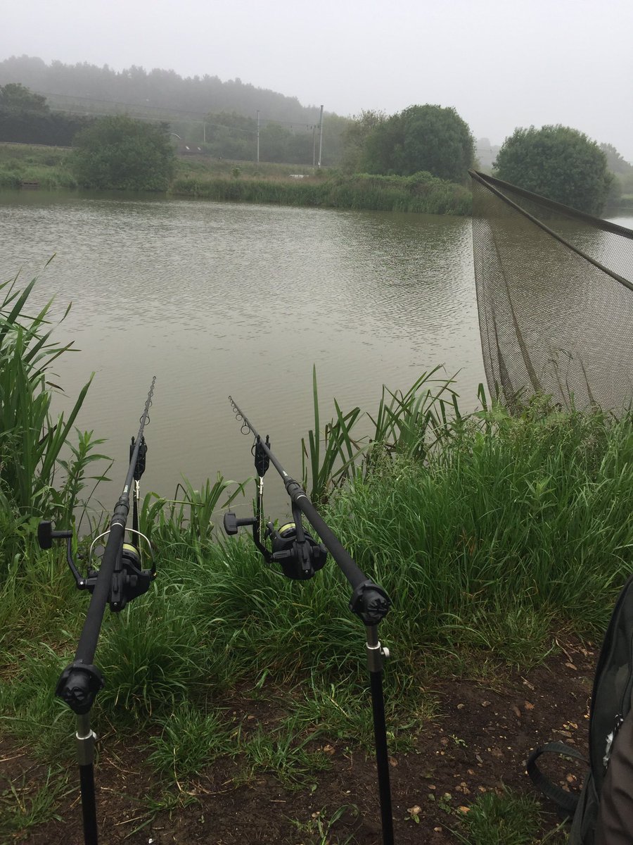 We have two rods out so let see how many get today , here we go again.