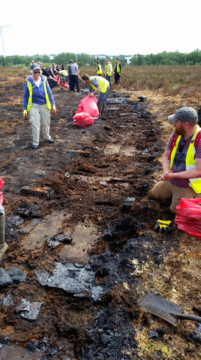 So, the photo from earlier got a little... mangled. Here it is in the original dimensions. - E.