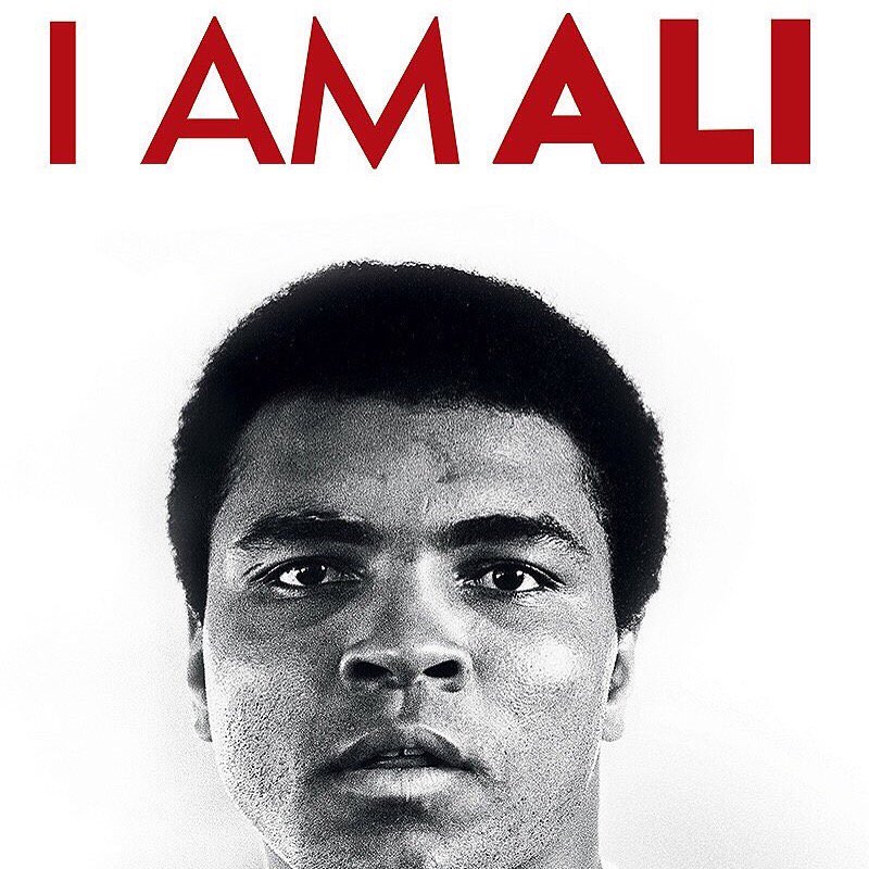 Charlotte Lewis tweet media