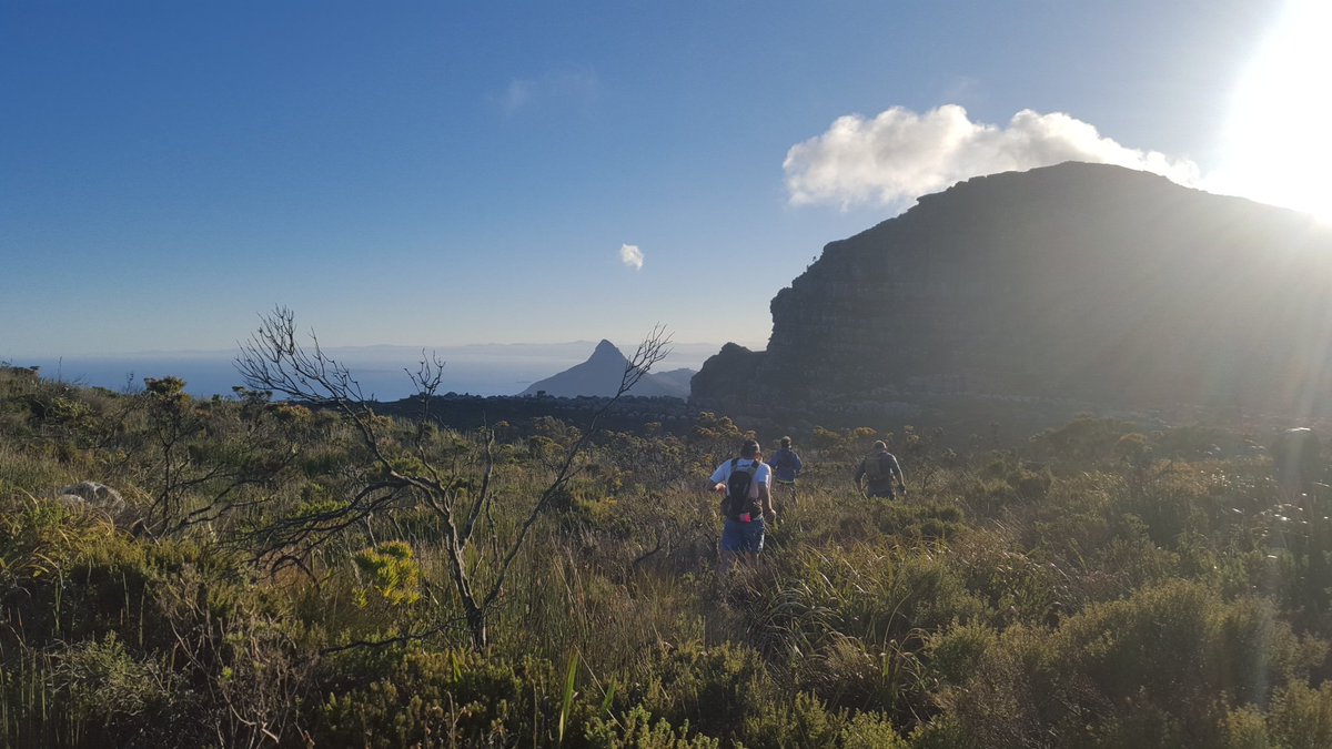 tarynventures's tweet photo. So many views towards #lionshead . This is one of my favourites - from the Apostles path #capetown #trailrunning https://t.co/mQHXxlsBKp