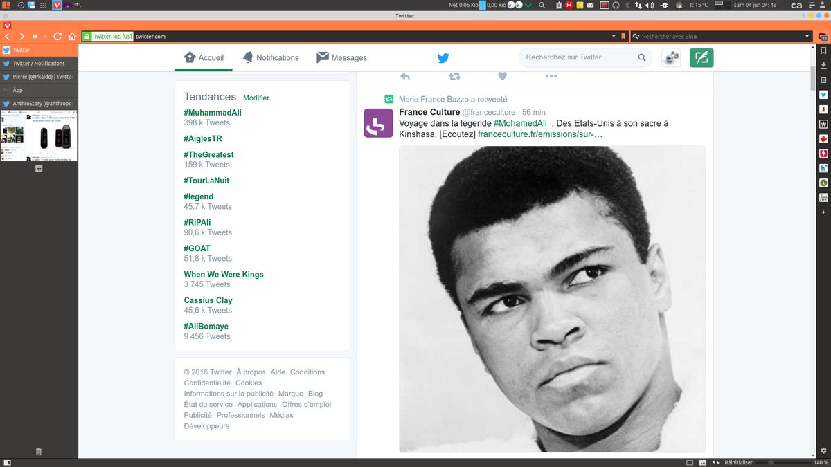 Pkaidd's tweet image. Un thème personnalisé pour #Voyagerlinux . #vivaldibrowser  #vivaldi_fr