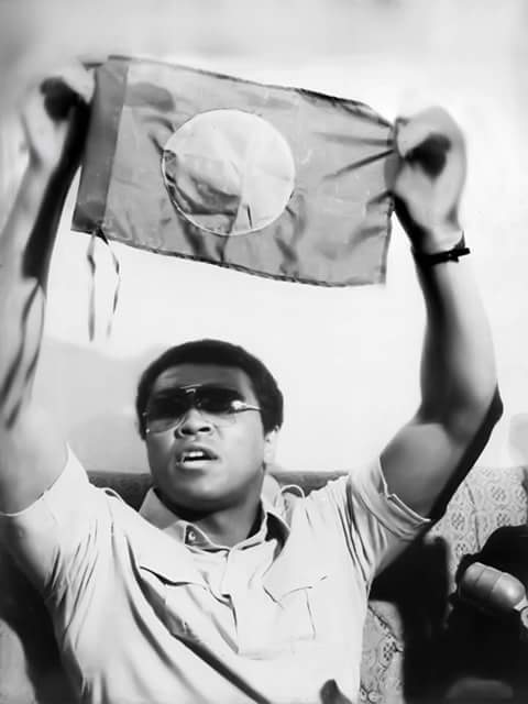 QMostofa's tweet image. 