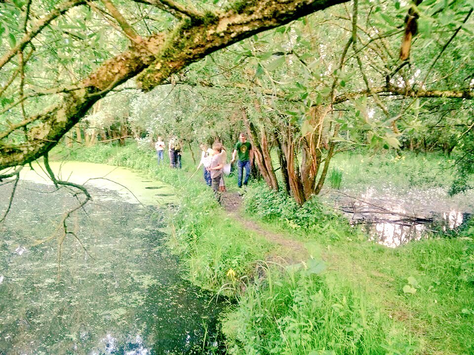 Schutgraaf's tweet photo. #mooi #Meinerswijk @gemeentearnhem #scouts op #expeditie op zoek naar planten en dieren. #natuur https://t.co/Y2MqAwYBAh