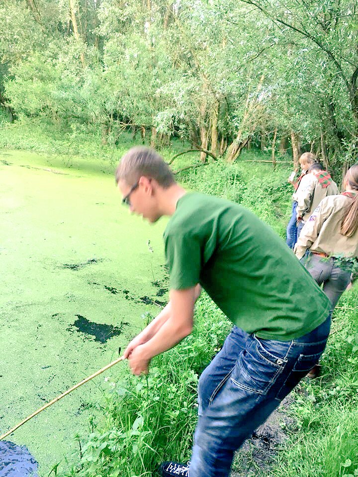 Schutgraaf's tweet photo. #mooi #Meinerswijk @gemeentearnhem #scouts op #expeditie op zoek naar planten en dieren. #natuur https://t.co/Y2MqAwYBAh