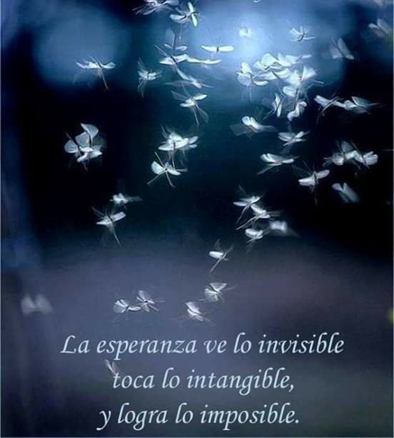 PMallagray's tweet photo. La Esperanza...
@rie_vive https://t.co/zBgTrZhBxg