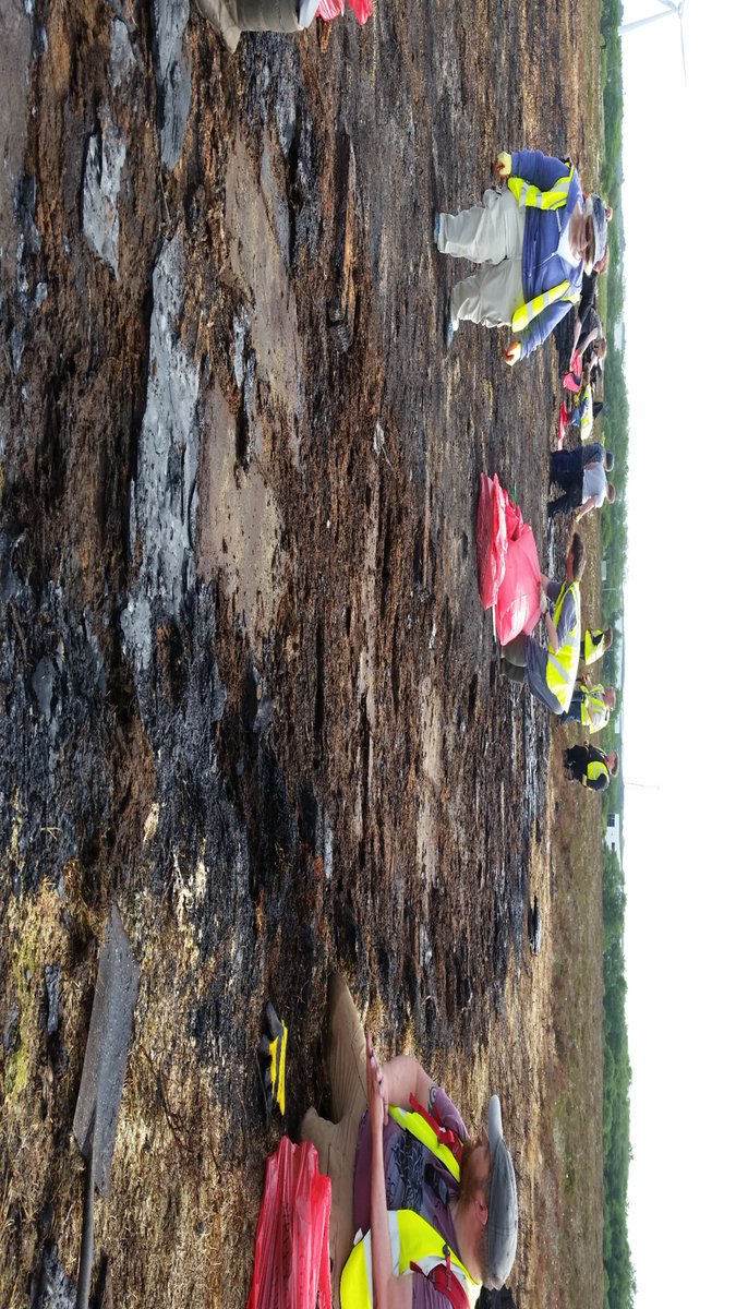 Boardwalk coming up beautifully. Thanks all for coming today! - E.