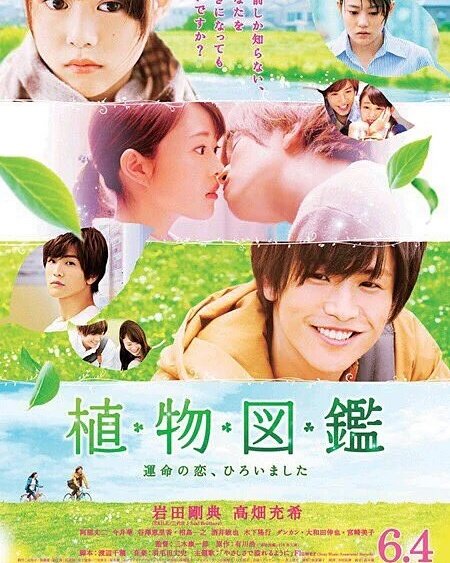 植物図鑑花かんむり