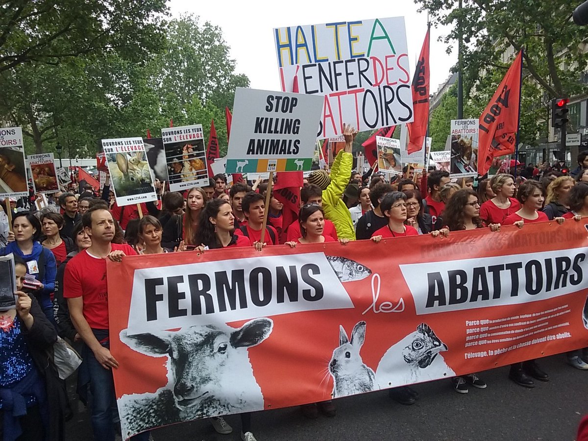 L214's tweet photo. Fermons les #abattoirs, ouvrons les consciences! Foule à Paris! #StopAbattoirs https://t.co/hd2DWVATb6