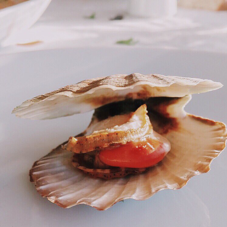 #Çanakkale'de boğaz havası sevenlere lezzetli yemekleriyle hizmet veren <a href="/Yalova_Balik/">Yalova Restaurant</a> keyifname.com/yalova-restaur…