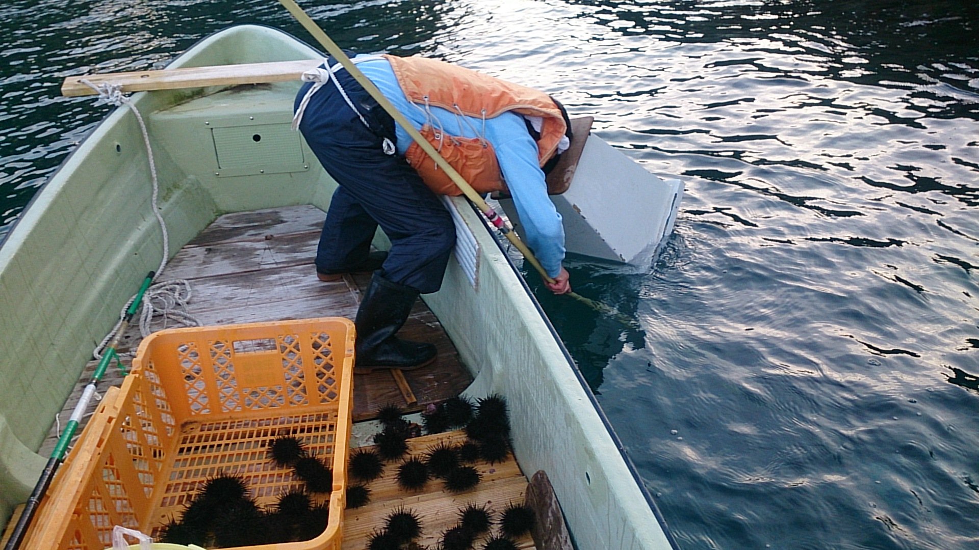 北山崎 白花しゃくなげ荘 ウニの居る場所に目星を付け時間になりスタート 調子良いです 岩手 Iwate 三陸 ウニ漁 T Co Fhsfu5revu Twitter