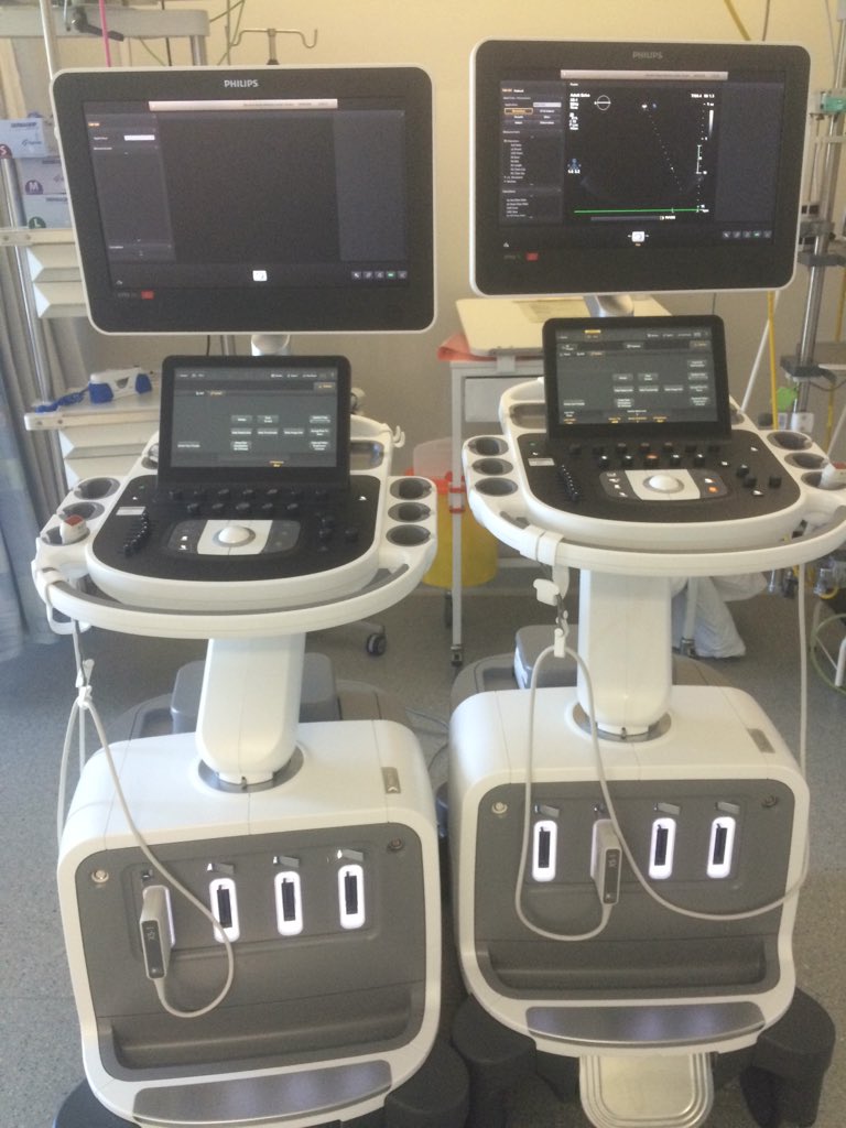 gasdoc2857's tweet photo. Gloria &amp; Scanny McScanface. Named by my colleague &amp; @ali1m. Not sure who's who! #2DE #3DE #2DTOE #3DTOE https://t.co/uU0kwRgEui