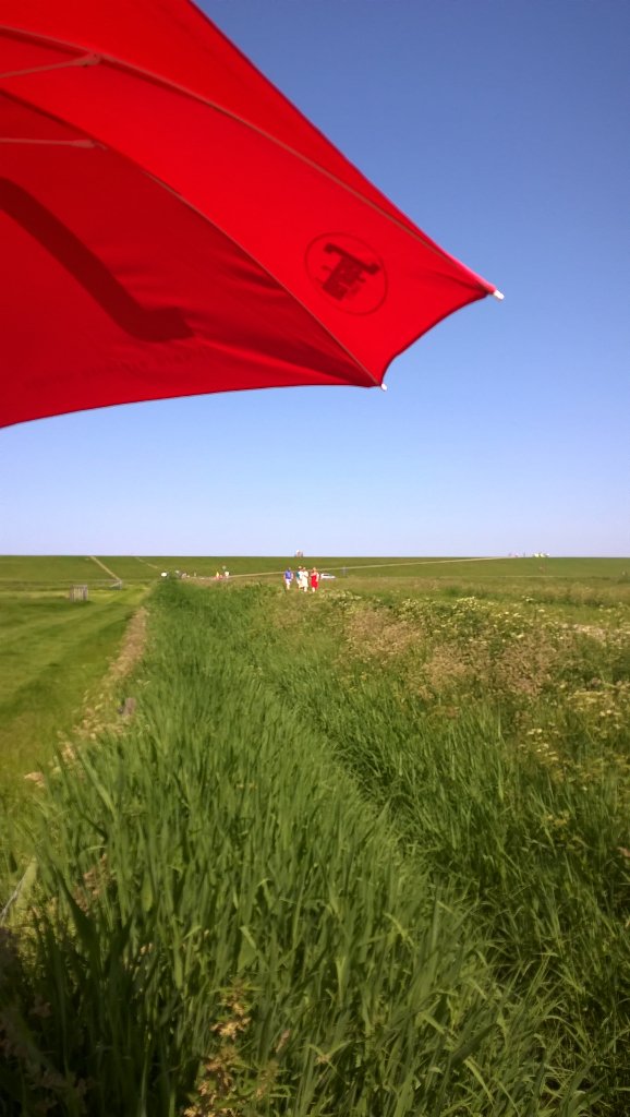 RoelkeHNienhuis's tweet photo. Veel belangstelling bij boerderij Knol @overdevloed applaus voor de verhalenvertellers Top reacties op koffiekar WOM https://t.co/5Qw0INYtDh