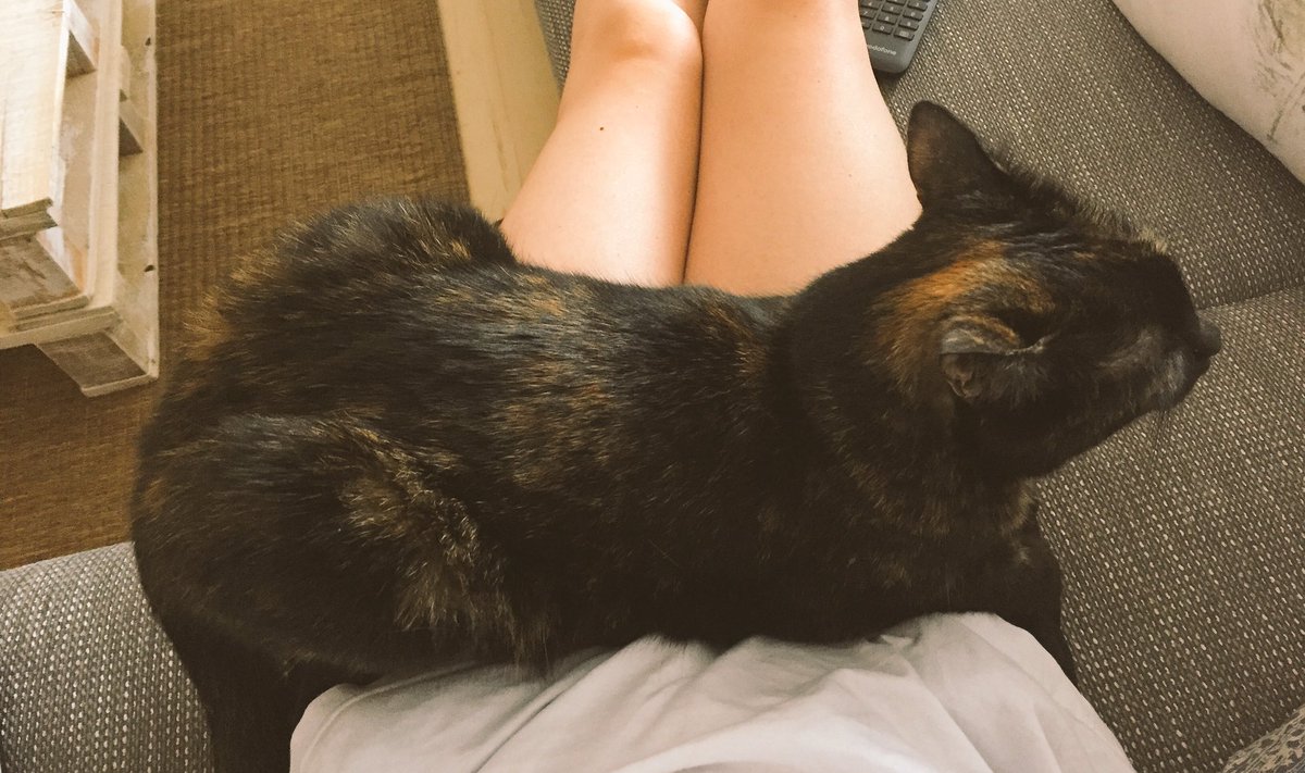 Einfach mal quer drüber. Ich bin gespannt, wie sie nun an ihren Kaffee kommen will...Gnihihihi.