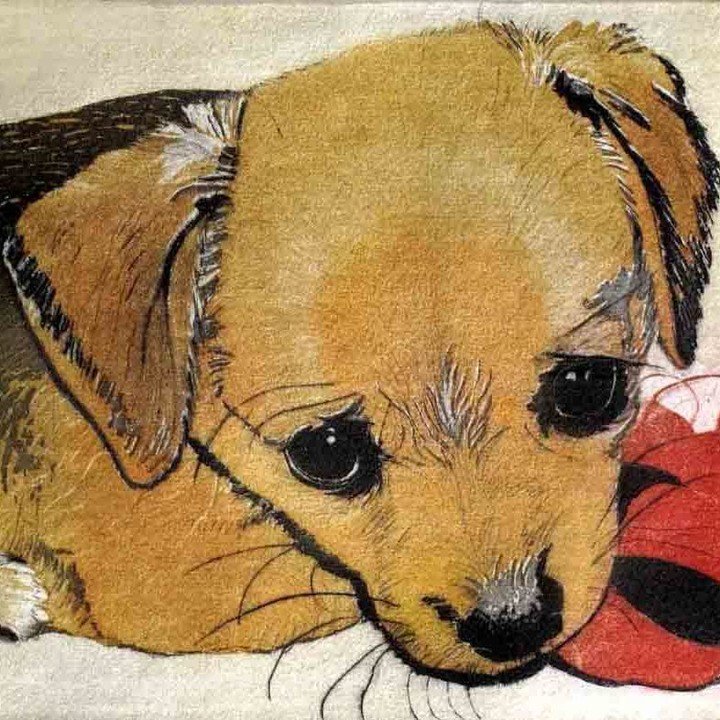 ForArtsSakeUK's tweet photo. It's all in the eyes! Etching of the adorable Pico by Pat Schaverien #printmaking #printof… https://t.co/3q7YIybaim https://t.co/DjovOi4WBa