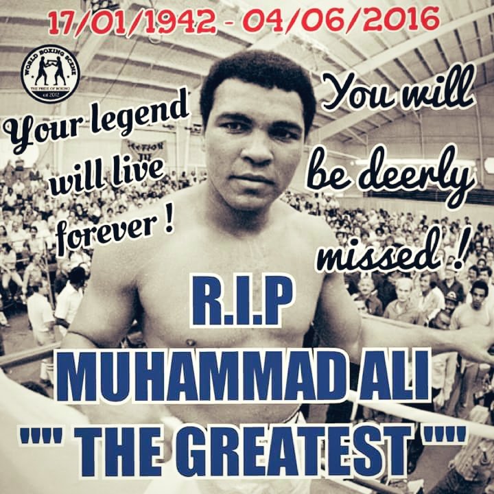 AliReza261's tweet photo. True a Legend https://t.co/3jjPdy0fL5