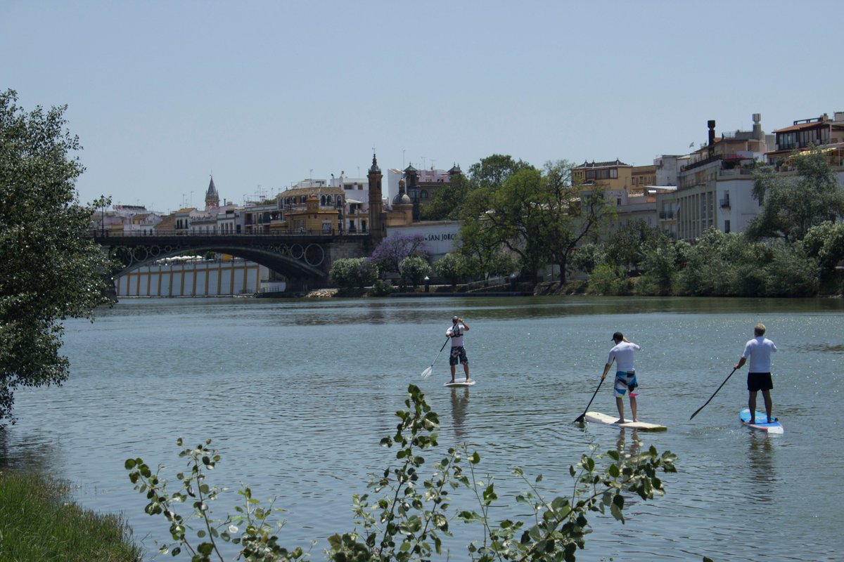 SupGuadalquivir's tweet image. Síguenos y descubre la magia del paddlesurf y todos sus secretos. paddlesurfguadalquivir.com 
#FelizSabado