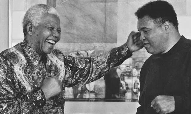 Dale Steyn tweet media