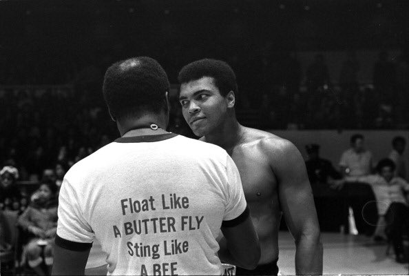 Цитаты великих боксеров. Порхай как бабочка жаль как. Как бабочка жаль как пчела песня. Как бабочка жаль как пчела песня. Как бабочка жаль как пчела песня.