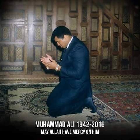 QMostofa's tweet image. 