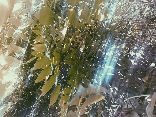 trustxdillon's tweet photo. Some of my favoritesπ #picturesforconnor #connorinspired
@ConnorFranta https://t.co/mfc1U9TbyM