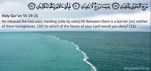 SuleimanQadid tweet media