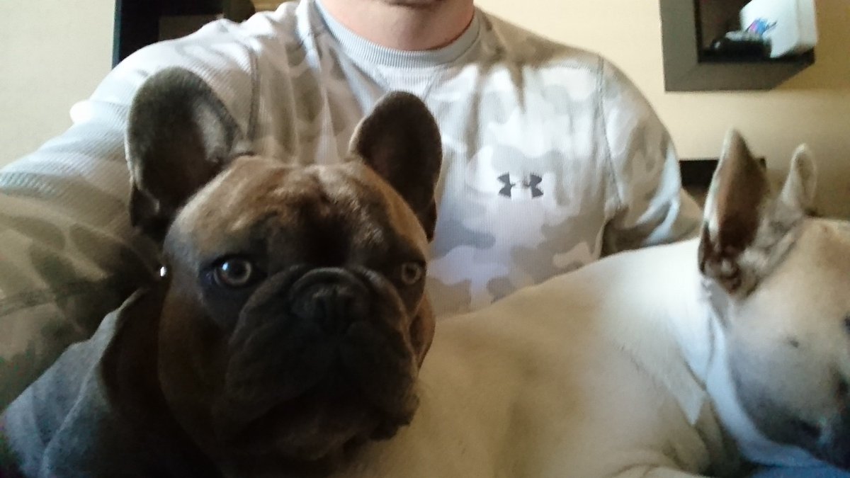 JakersLarsen's tweet photo. It's my Frenchie's birthday too @JohnLegere! Happy birthday John and Dozer! #bestceoever &amp; #maboyblu https://t.co/GwQphyFqUx