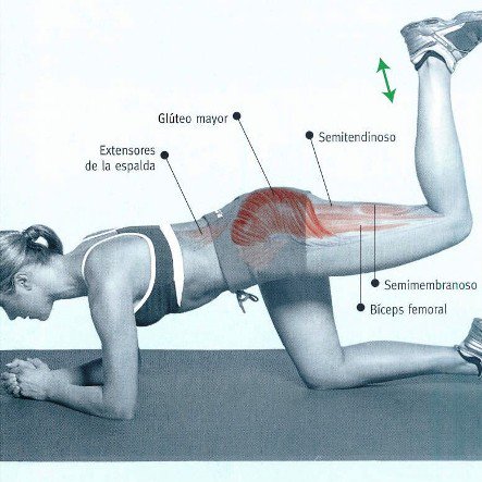 alamontanabikes's tweet photo. Ejercicios para endurecer las piernas https://t.co/owWzCpnlP7 https://t.co/cDT9jQ7lJS