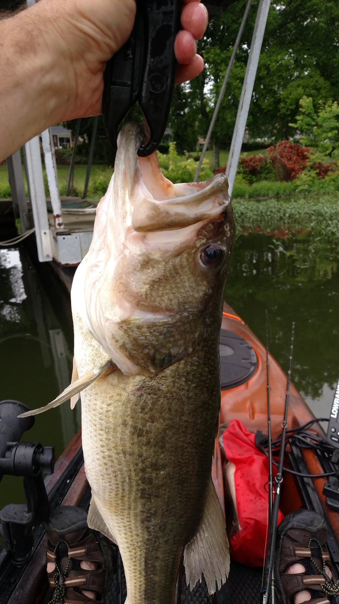 espnallnite's tweet photo. Fishing you a Happy Fathers Day! <*)))<
#RealDadsFish
#uglystiknation https://t.co/3vJzubvZhz