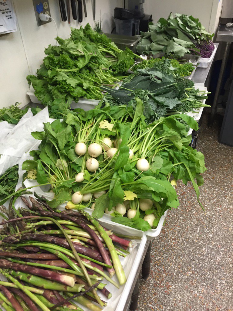 <a href="/Churchview_Farm/">Churchview Farm</a> beautiful, getting ready for the first farm dinner of the year!!!