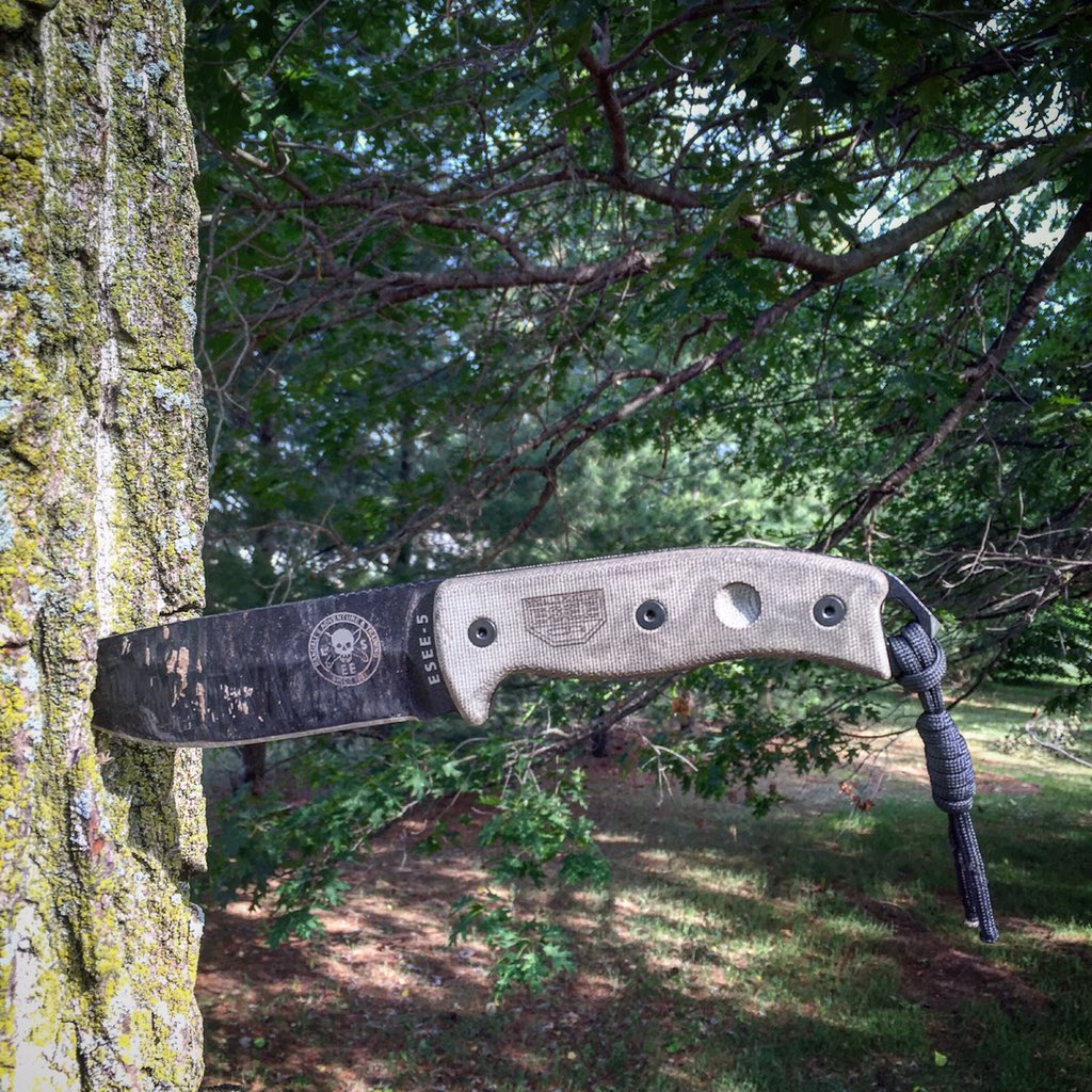 VicfromLIFT's tweet photo. Couldn't of asked for a better knife to camp with. Batoning wood, to striking a fero rod. #esee5 is a work horse! https://t.co/KoKrCstq8u