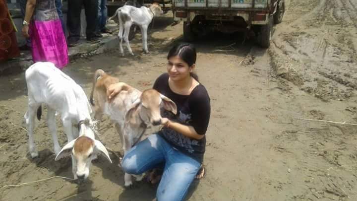 gavyamart's tweet photo. आओ गाय से प्रेम करें.. !! #SelfieWithGomata https://t.co/ztZwrUvFLS