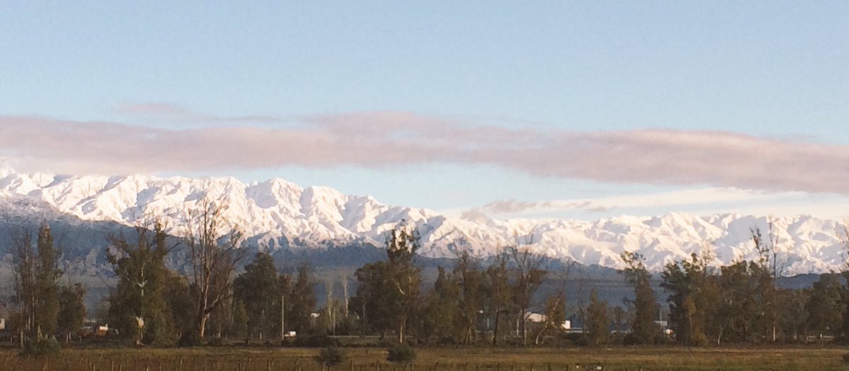 DiegoPerezMusic's tweet image. Sale el sol en Mendoza !!
#tonolec #girasur @Tonolec_oficial