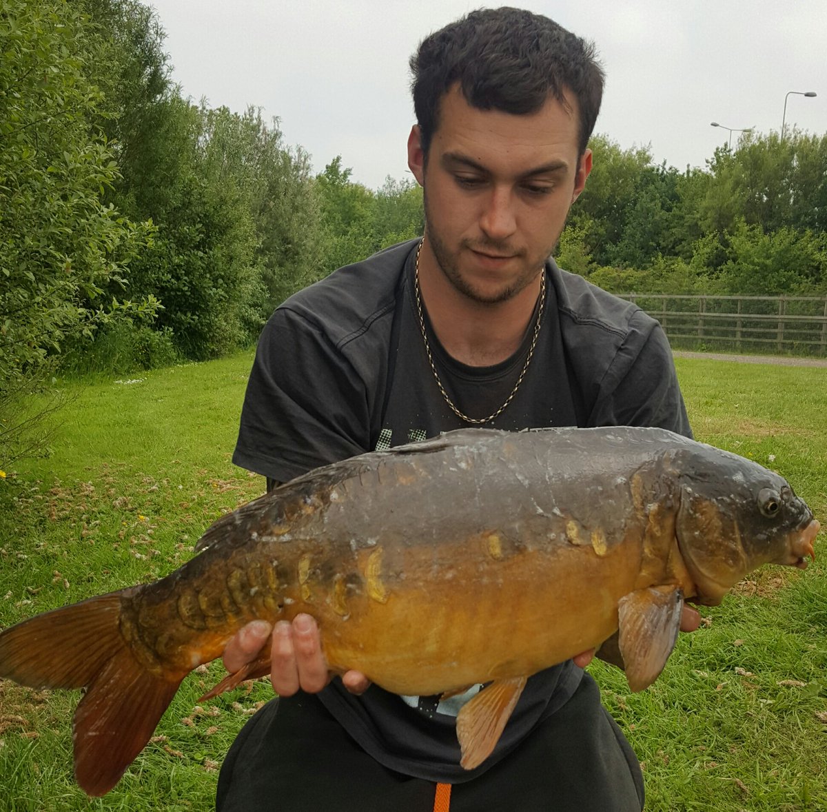 Bit slow today but still put one on the bank