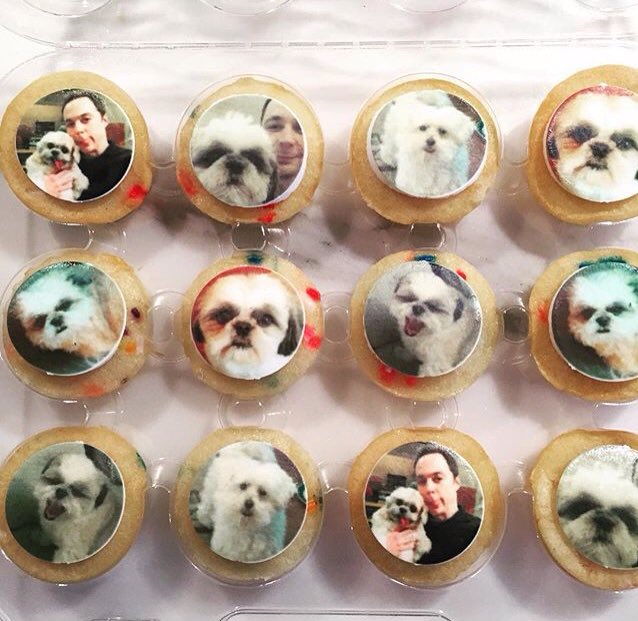 JimJparsons's tweet photo. Thank you @spotsnyc for this insane bite sized collection of photos/cupcakes haha! I❤️ them… https://t.co/FpPx5TiDLe https://t.co/vqYtmUEoxL