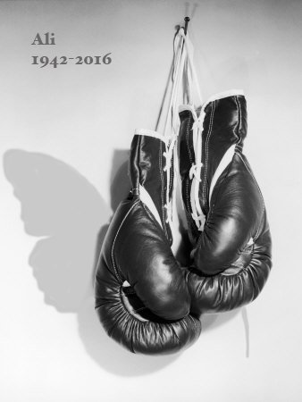 AlyceaMarx's tweet photo. @OneMinuteBriefs #RIPMohammedAli #triubute #worldsgreatest #FloatLikeAButterflyStingLikeABee https://t.co/sidcSgrEjs