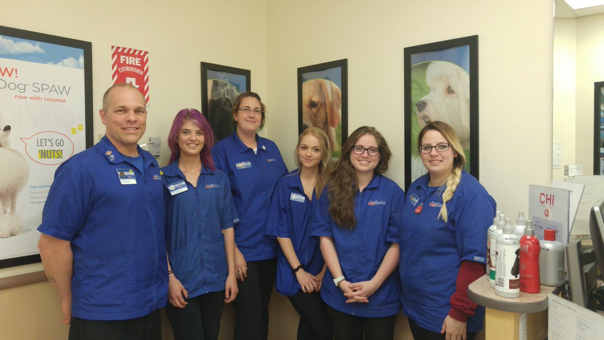 petsmart grooming school