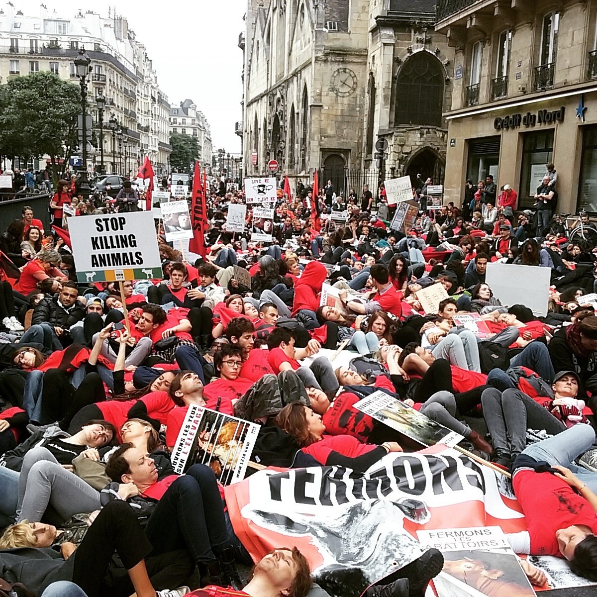 L214's tweet photo. Marée rouge sang... pour que cesse de couler le sang des animaux #StopAbattoirs #Paris #Direct #abattoirs https://t.co/mOCHQkwy65