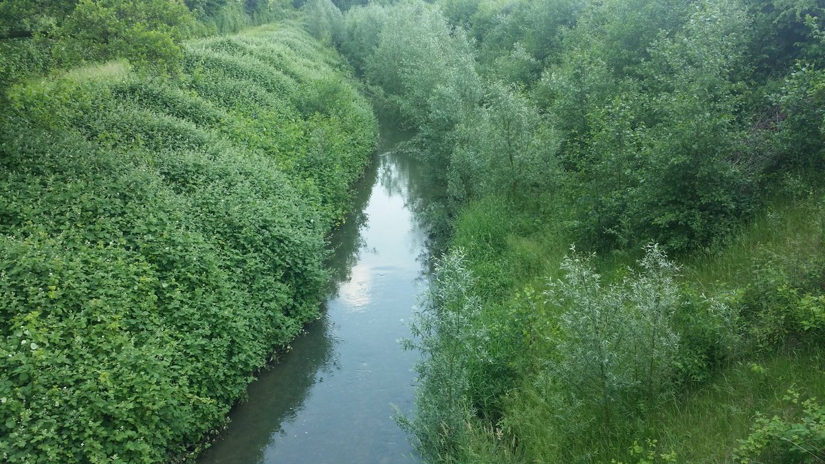 taeistic's tweet image. I took a pic of this today and find it so beautiful tbh idk