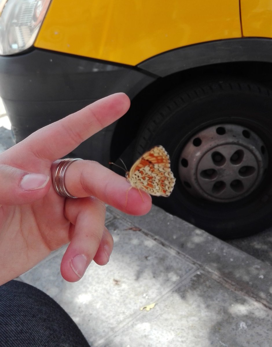 Nuria Rodríguez Mota tweet media