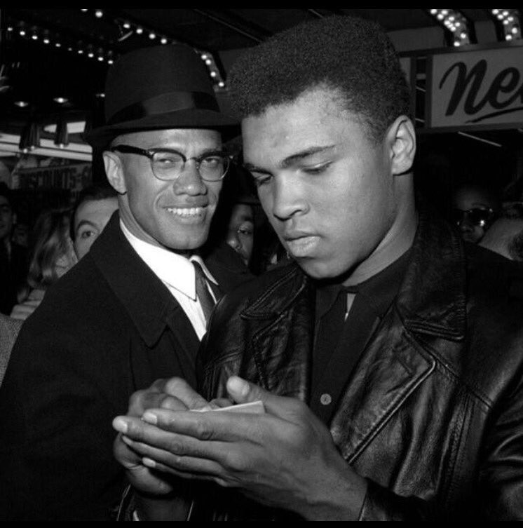 Soe4Lyfe's tweet photo. #likeAli #goats https://t.co/WpEwJhNDnm